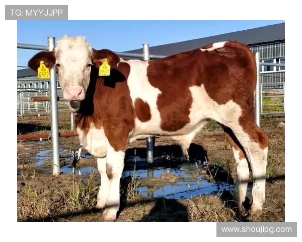 尊龙凯时真人手机版用户评价高，赢得广大玩家的一致好评